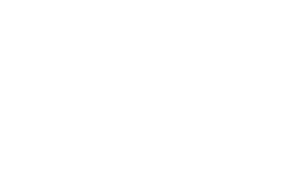 Figestor